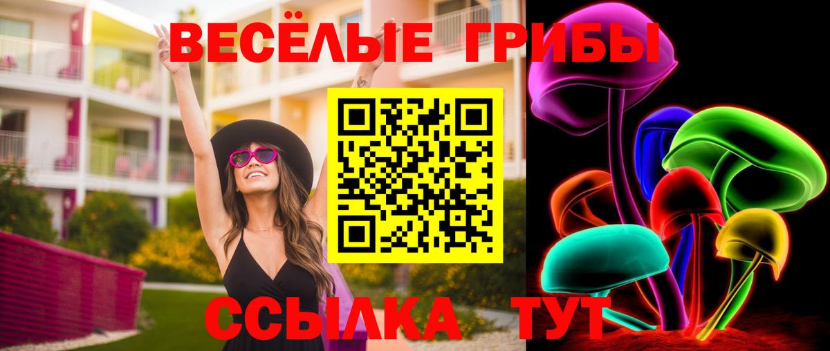 Галлюциногенные грибы прущие грибы  как найти закладки  Вход с VPN  Рассказово  Псилоцибиновые грибы мицелий 