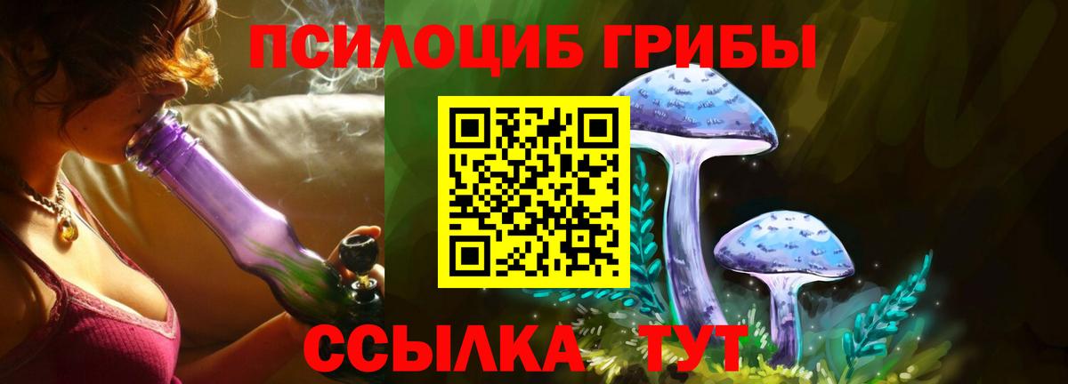 Псилоцибиновые грибы Psilocybe Рассказово